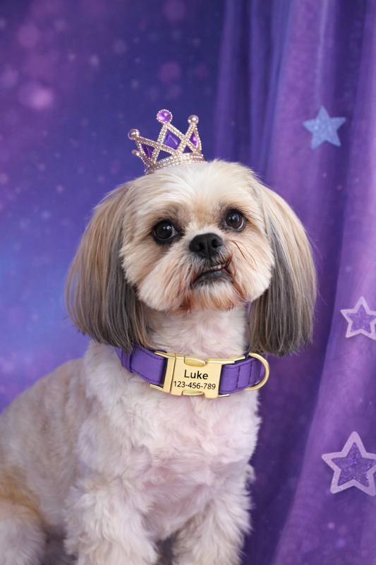 Personalizowana obroża dla psa z grawerem